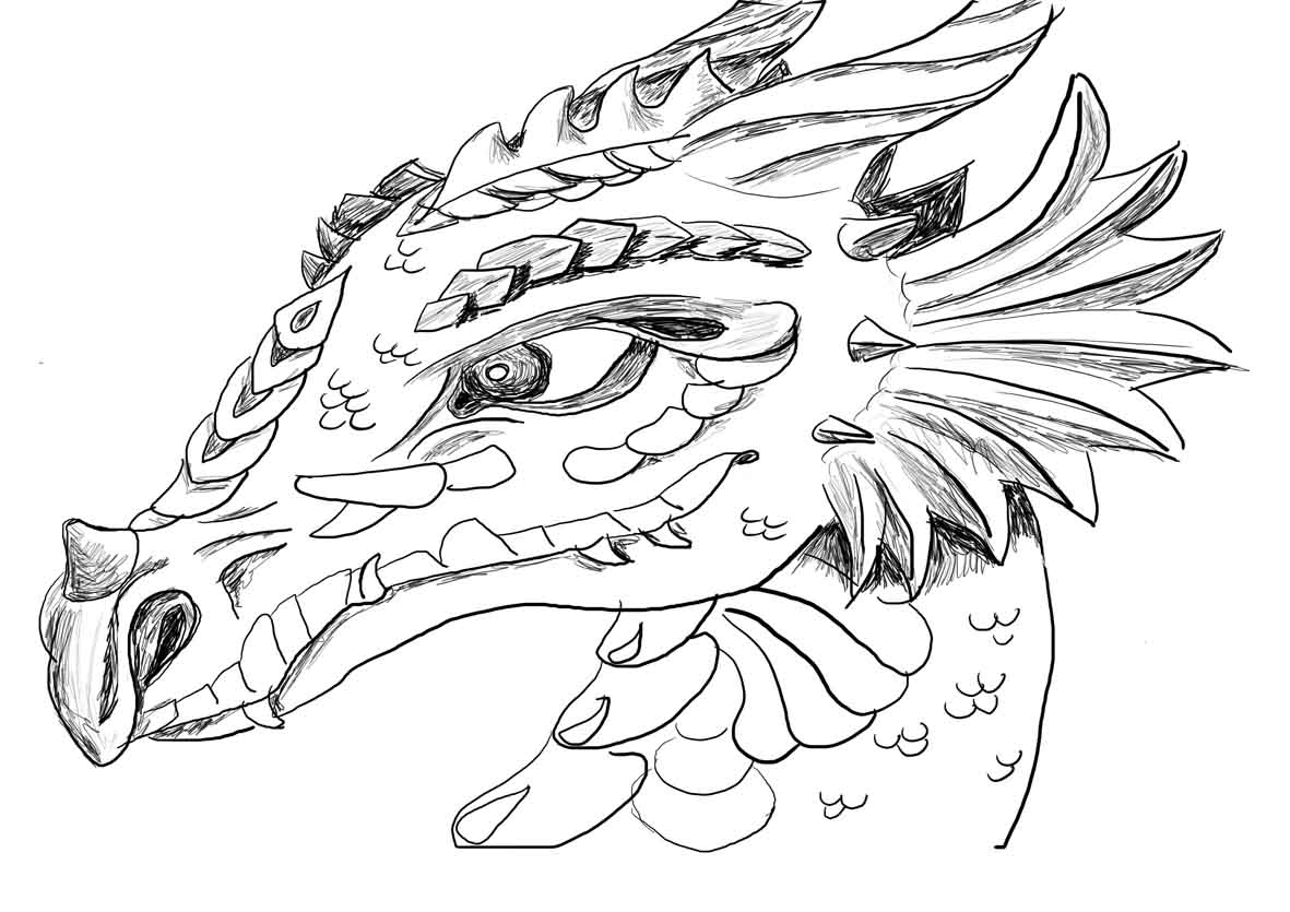 Dragón #41506