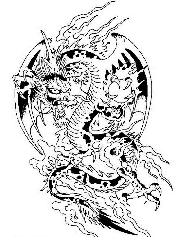 Dragón #41510