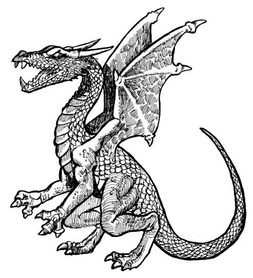 Dragón #41536