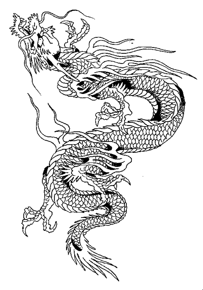 Dragón #41549