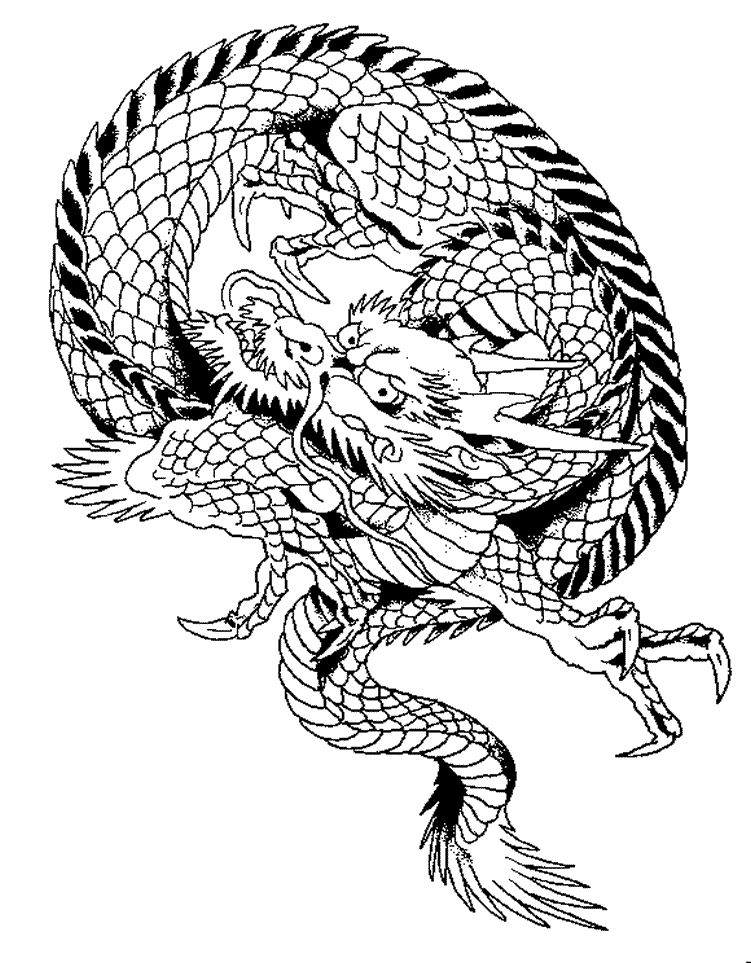 Dragón #41551