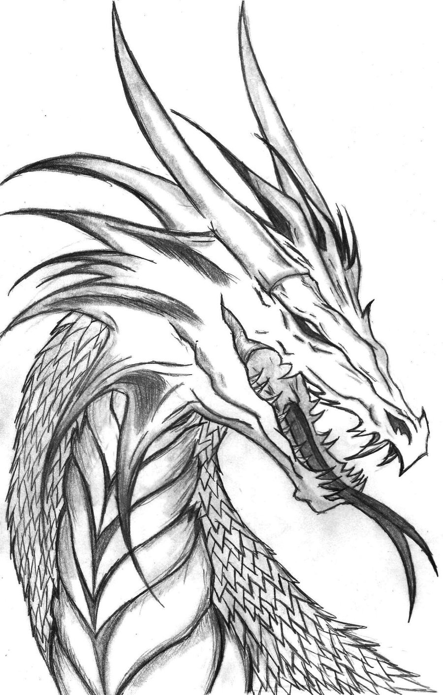 Dragón #41463