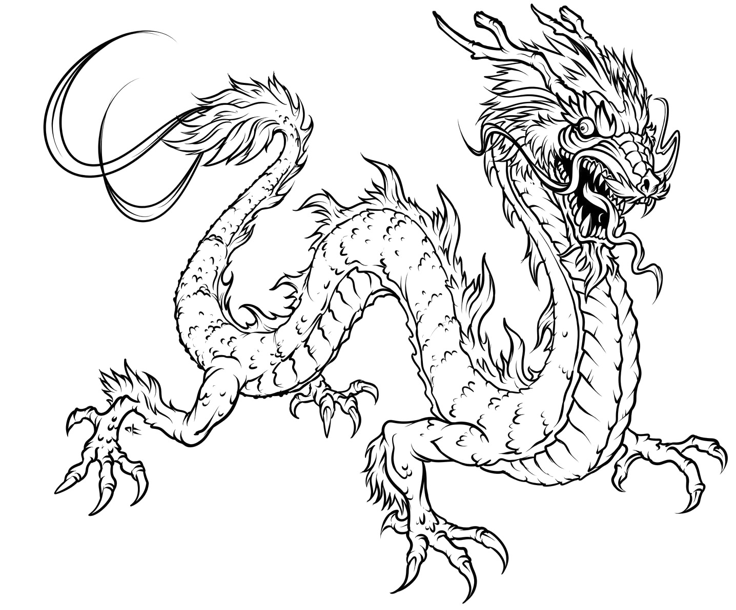 Dragón #41490