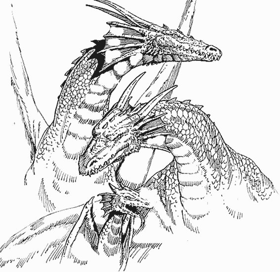 Dragón #41501
