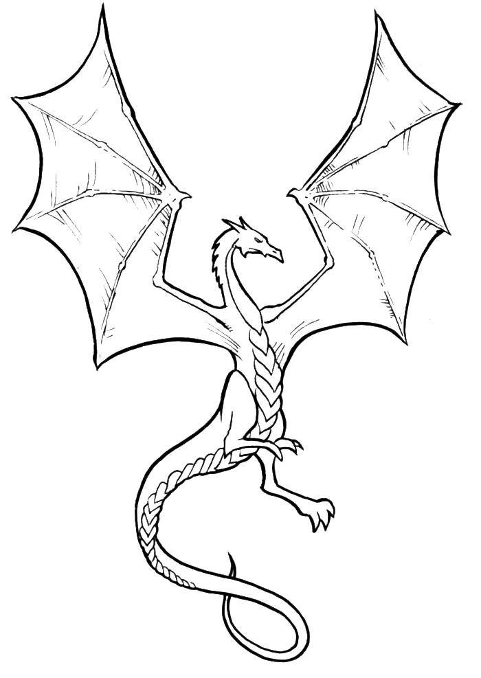 Dragón #41505