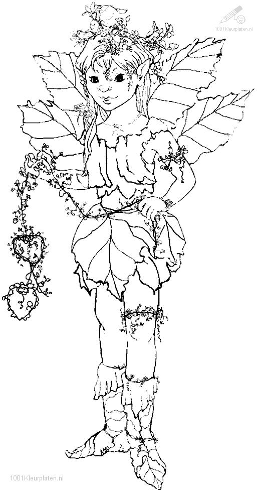 Duende #41721