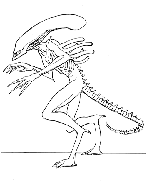 Extranjero #42137