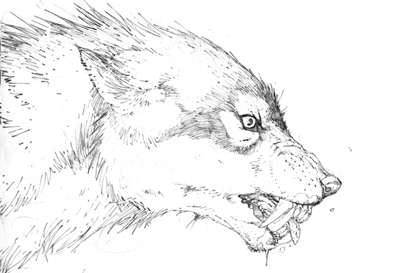 Hombre lobo #42635