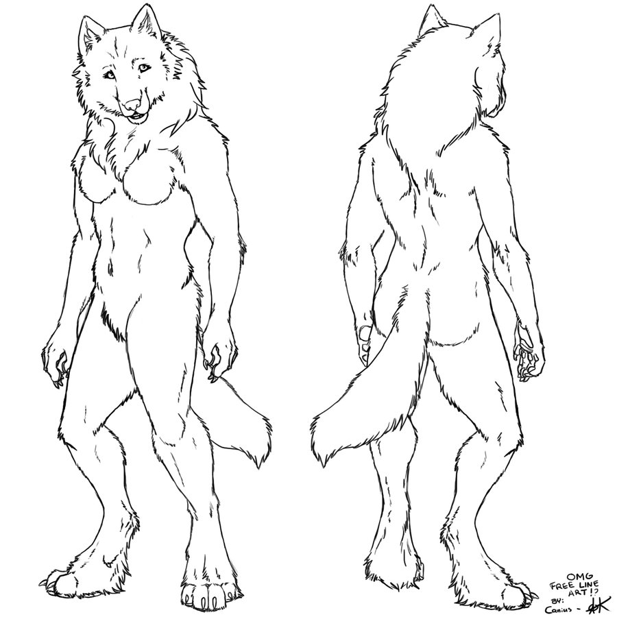 Hombre lobo #42639