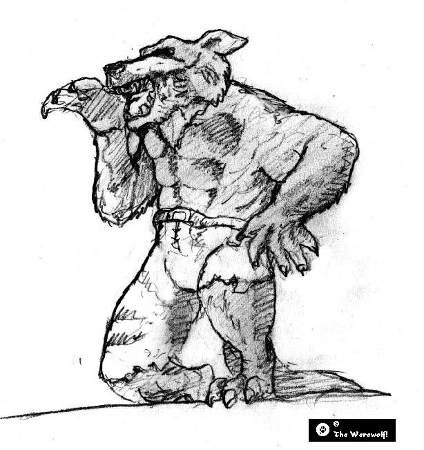 Hombre lobo #42648