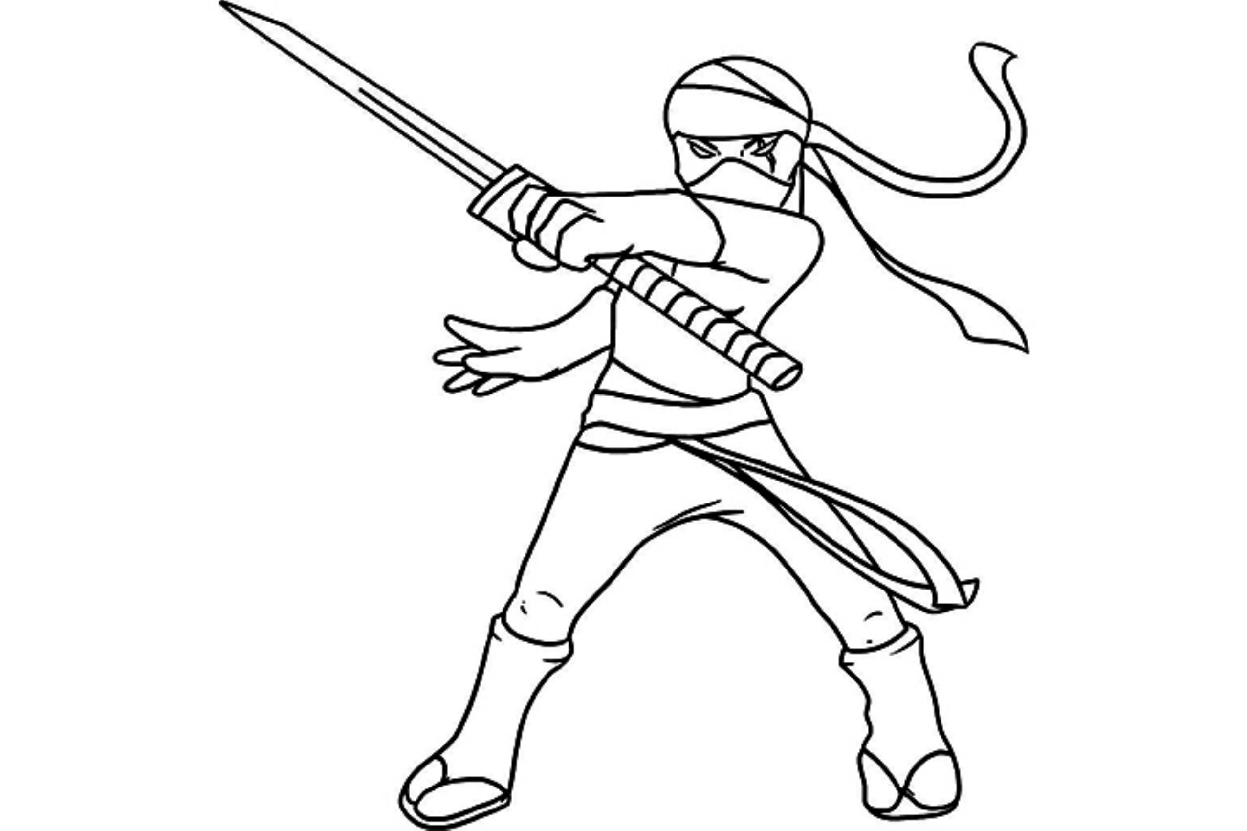 Ninja #43373