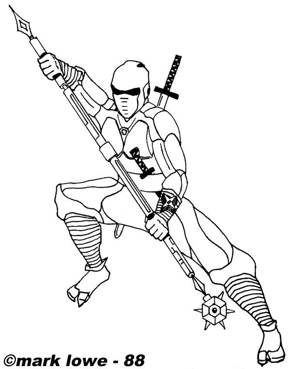 Ninja #43374
