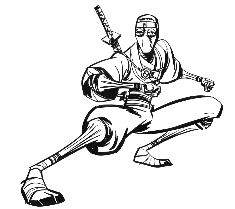 Ninja #43378