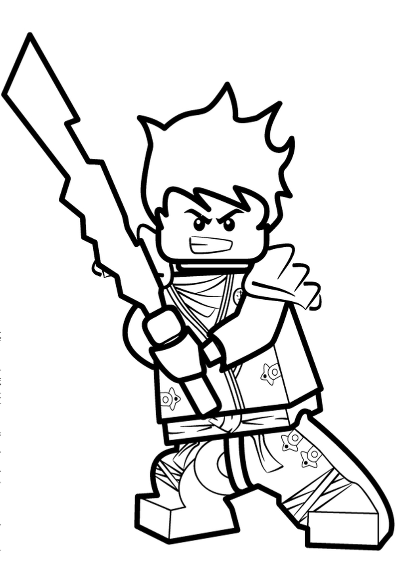 Ninja #43379
