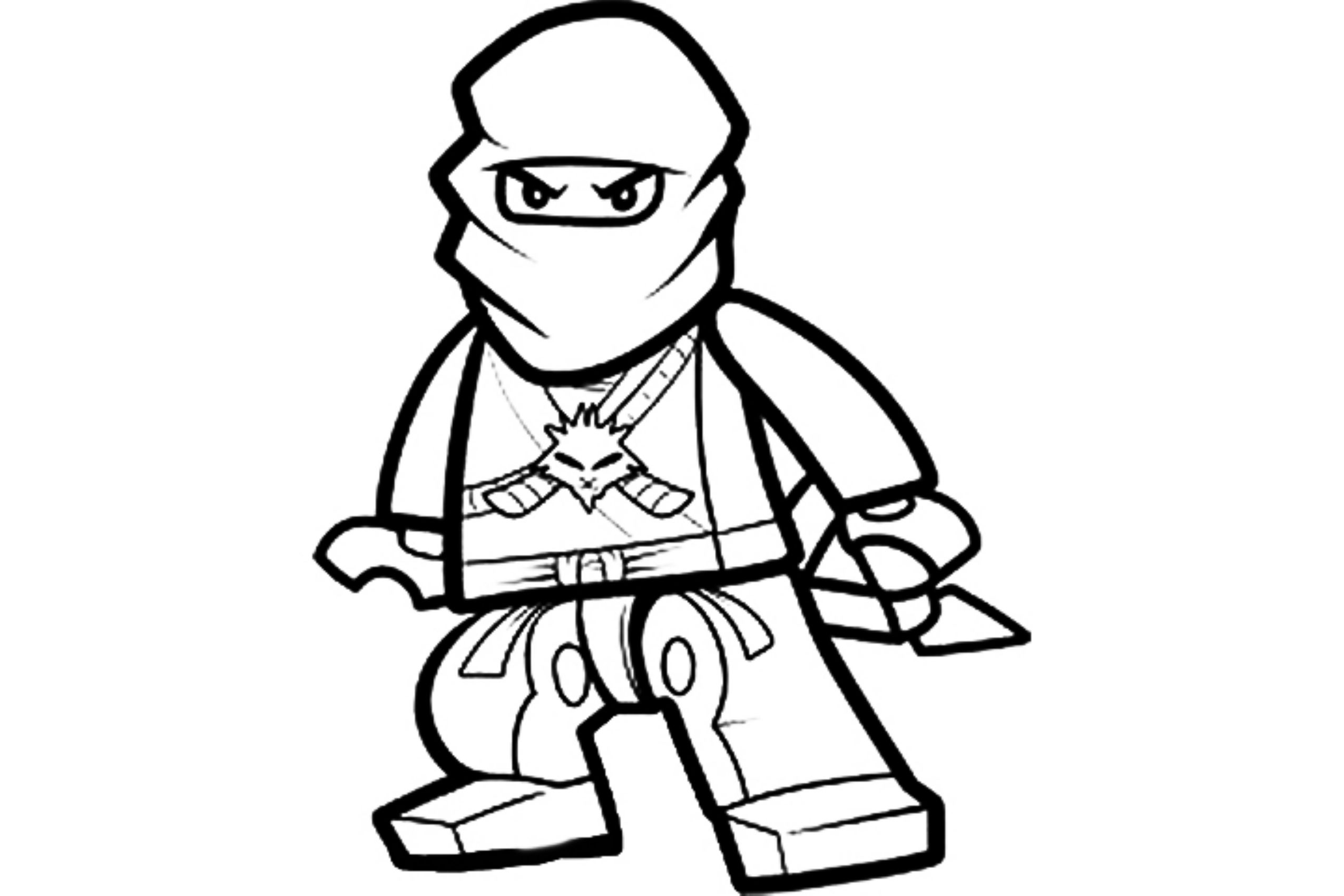 Ninja #43382