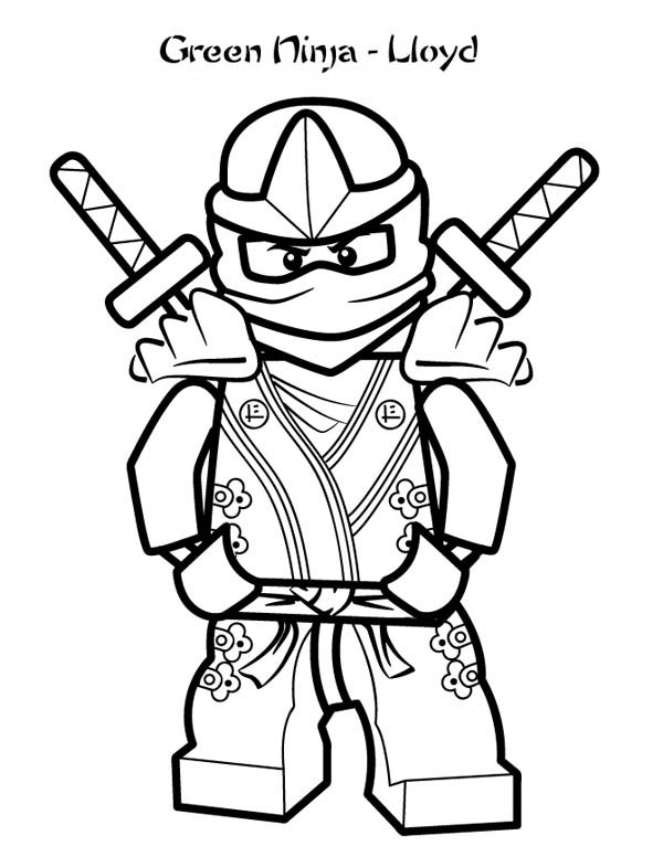 Ninja #43385