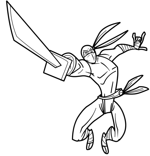 Ninja #43390