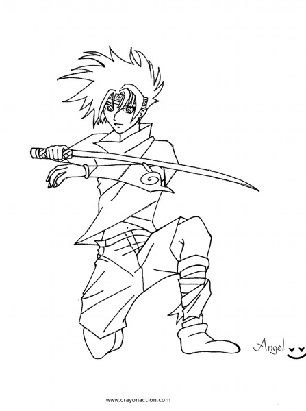 Ninja #43391