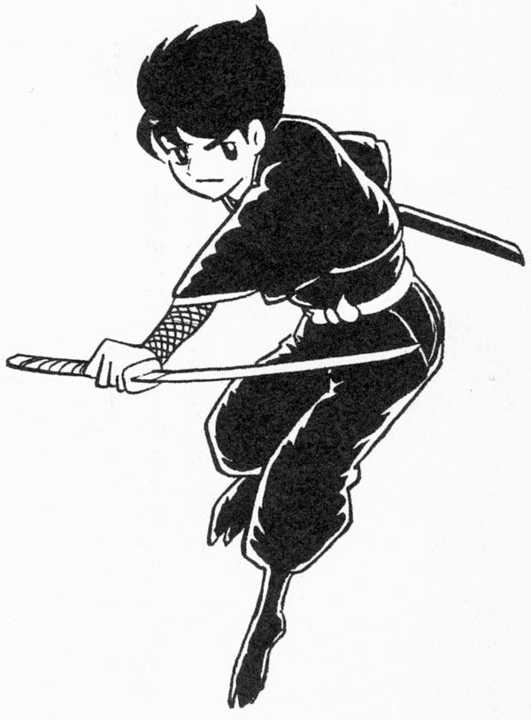 Ninja #43398