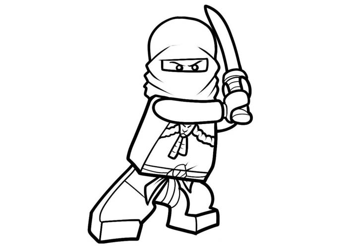 Ninja #43399