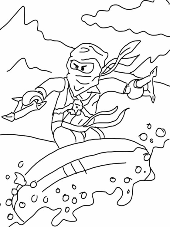 Ninja #43400