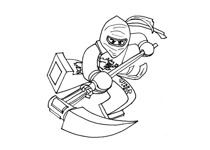 Ninja #43402