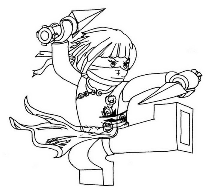 Ninja #43404