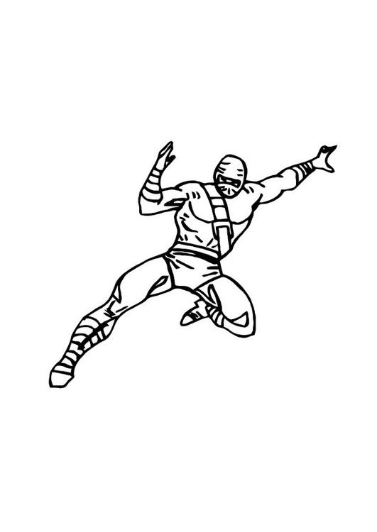 Ninja #43405