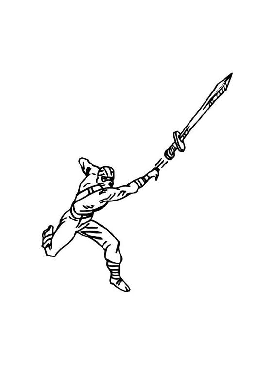 Ninja #43408