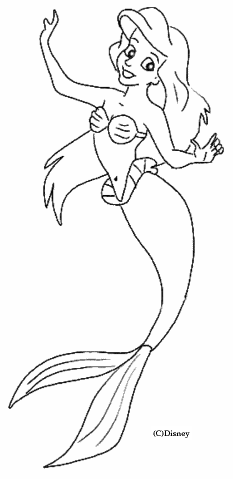 Sirena #44975