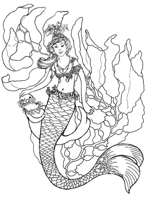 Sirena #45007