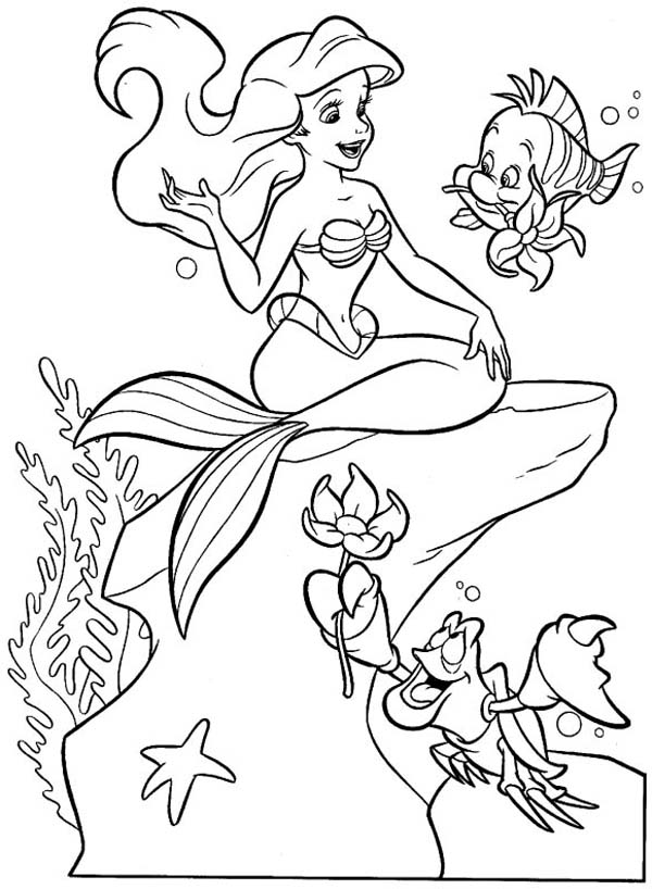 Sirena #45036