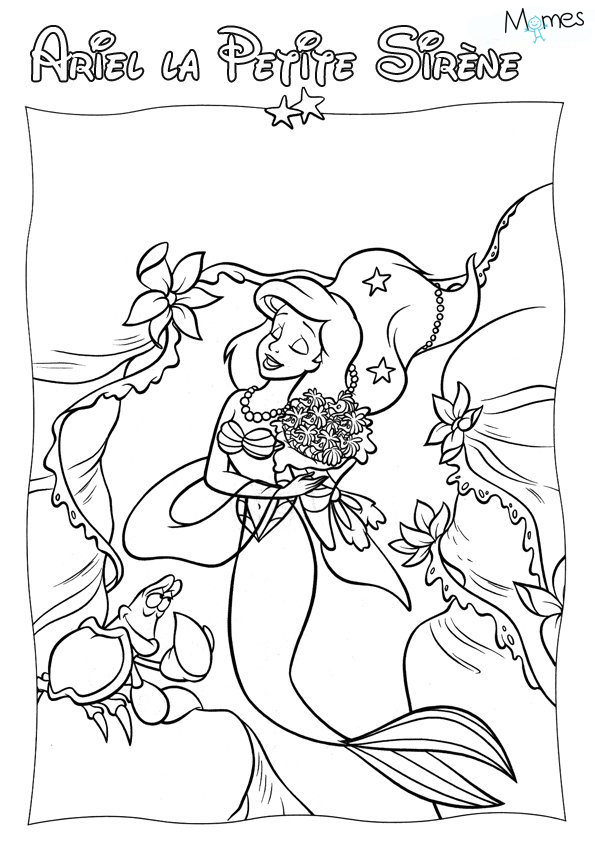 Sirena #45065