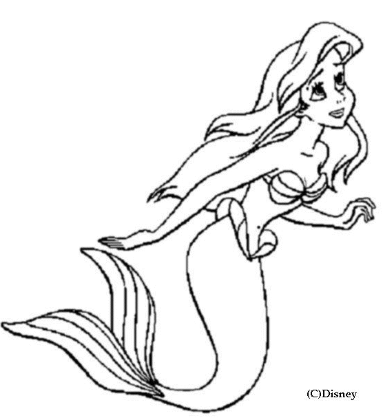 Sirena #45094