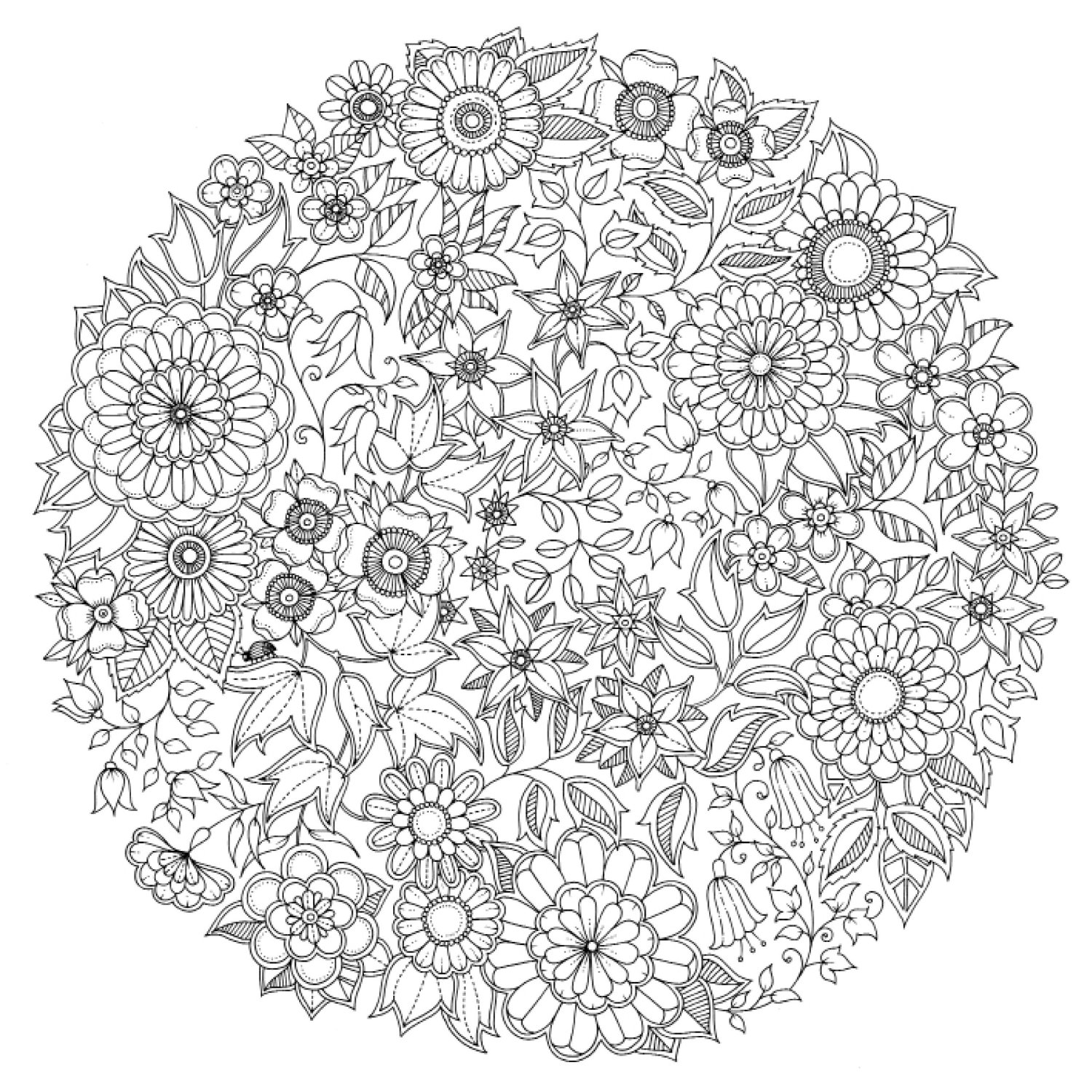Anti estrés #45714