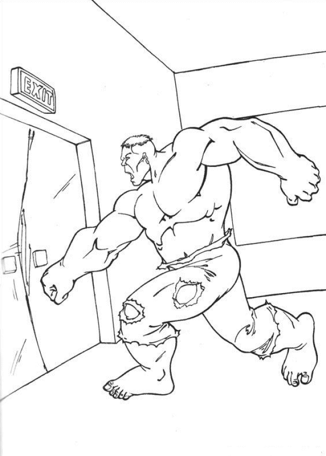 Hulk #47429