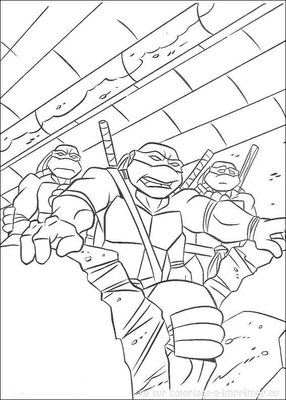Las tortugas ninja #48157
