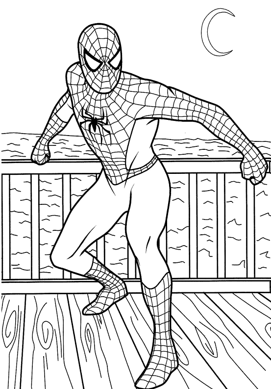 Spiderman #48341