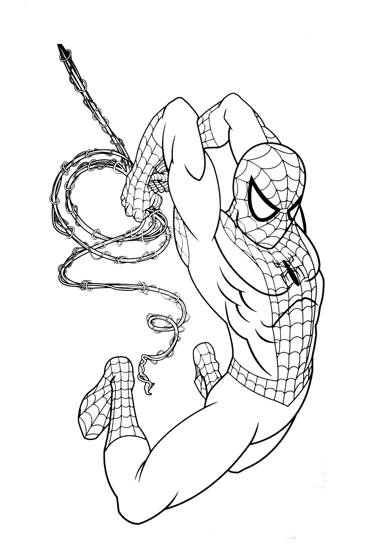 Spiderman #48355