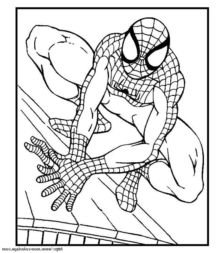 Spiderman #48356