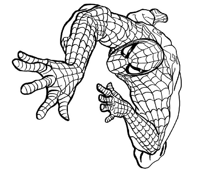 Spiderman #48360