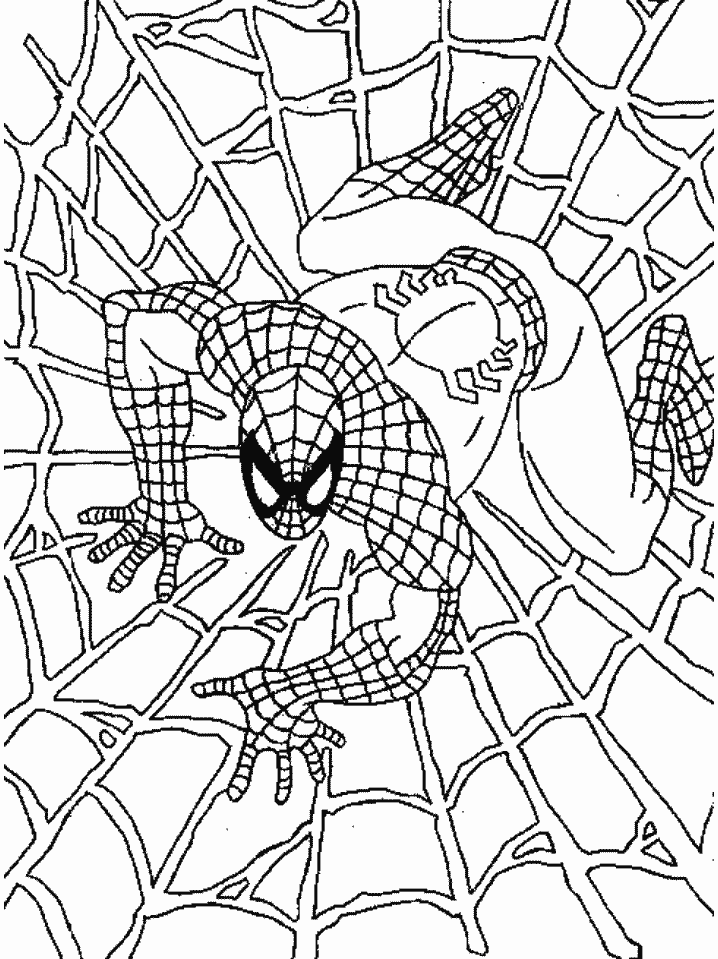 Spiderman #48371