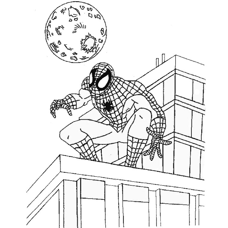 Spiderman #48379