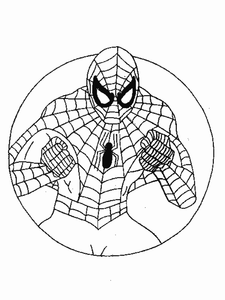 Spiderman #48392