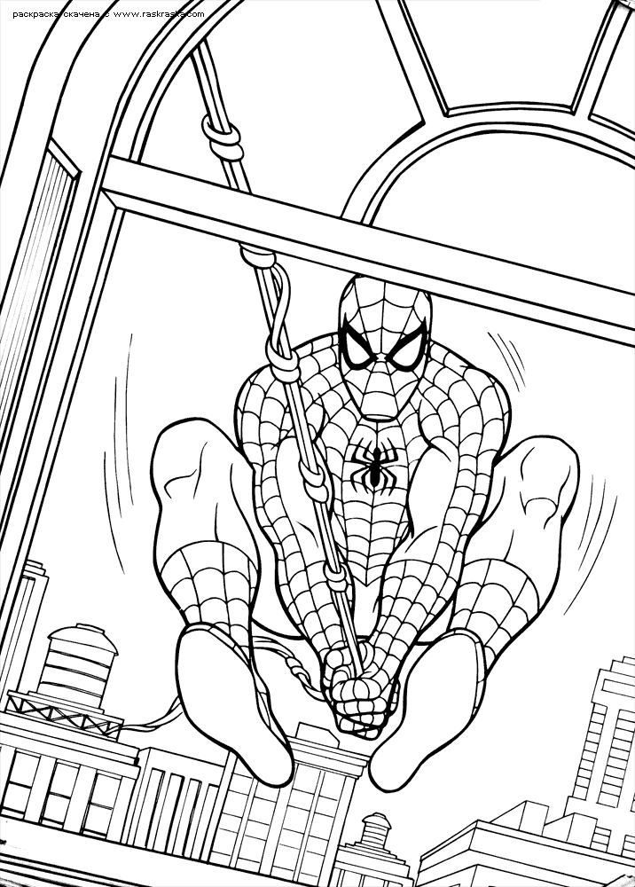 Spiderman #48399