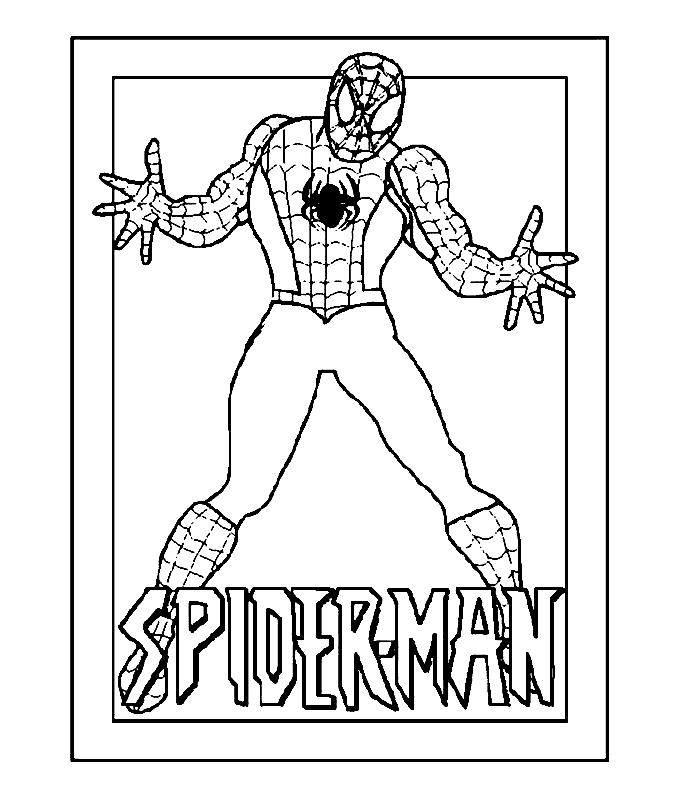Spiderman #48427