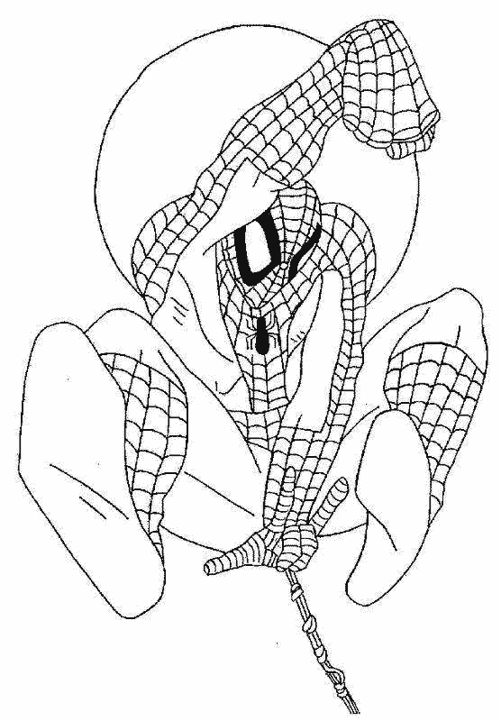 Spiderman #48433