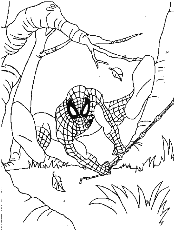 Spiderman #48435