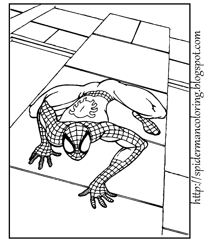 Spiderman #48449