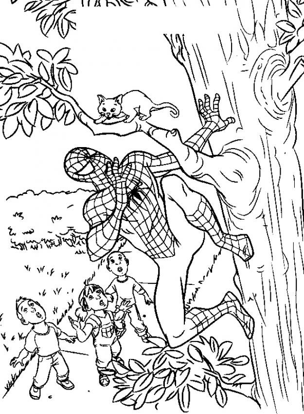 Spiderman #48459